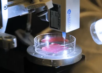 Bioprinting now a physical reality: Study