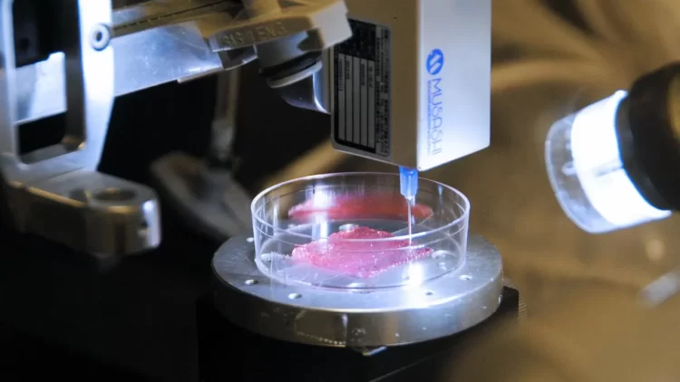 Bioprinting now a physical reality: Study