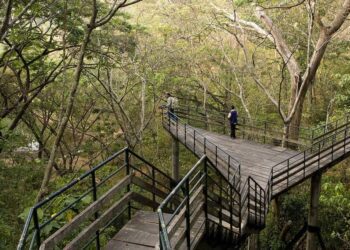 Ecotourism makes rapid strides in India