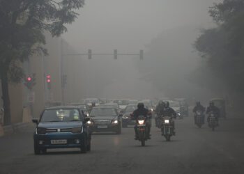 Pollution Boards to Take Legal Action Against Construction Violations in Delhi-NCR: CAQM