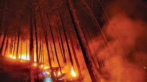 Wildfire Air Pollution Leaving People Gasp for Breath, Says Study