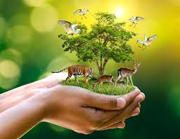 WII’s 9th Wildlife Conservation Course for Enthusiasts