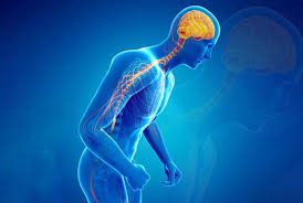 Nano-formulation of darkness hormone could be therapeutic solution for Parkinson’s disease