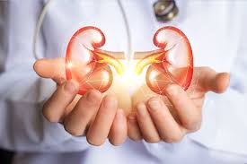 Kidney diseases on rise; early detection and treatment needed, say doctors