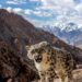 India’s Cold Desert in Lahaul-Spiti now UNESCO’s  Biosphere Reserve