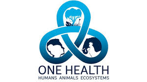 Experts Call for Unified Human-Animal-Environment Health Strategy Amid Rising Infections   