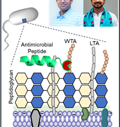 IIT Ropar Scientists Create Ultra-Fast, High-Precision Test to Detect Harmful Bacteria