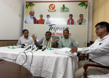 Tripura Puts Queen Pineapple on the Global Map, Launches 3-day Fest  in Delhi