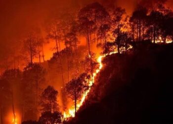 Wildfires Are No Longer A Seasonal Hazard