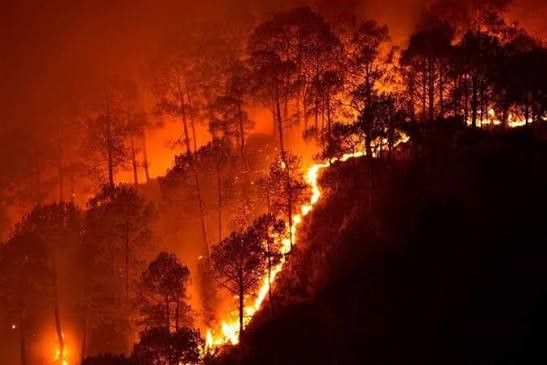 Wildfires Are No Longer A Seasonal Hazard
