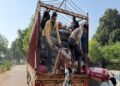 CBN Seizes 4.2 tonnes Of Poppy Straw In MP, Arrests Three  15 CBN Seizes 4.2 tonnes Of Poppy Straw In MP, Arrests Three Â